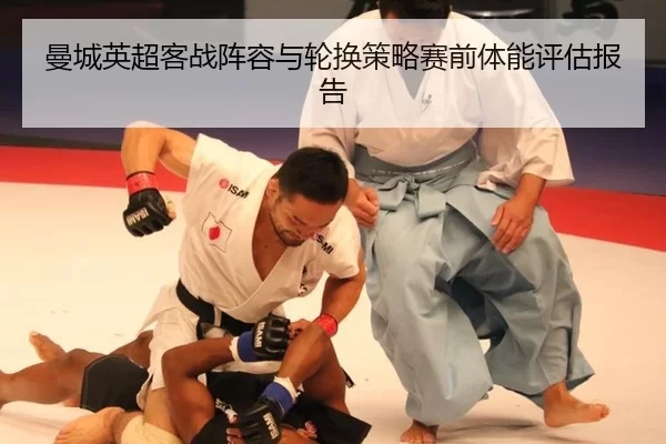 man-cheng-ying-chao-ke-zhan-zhen-rong-yu-lun-huan-ce-lve-sai-qian-ti-neng-ping-gu-bao-gao-3-506.jpg